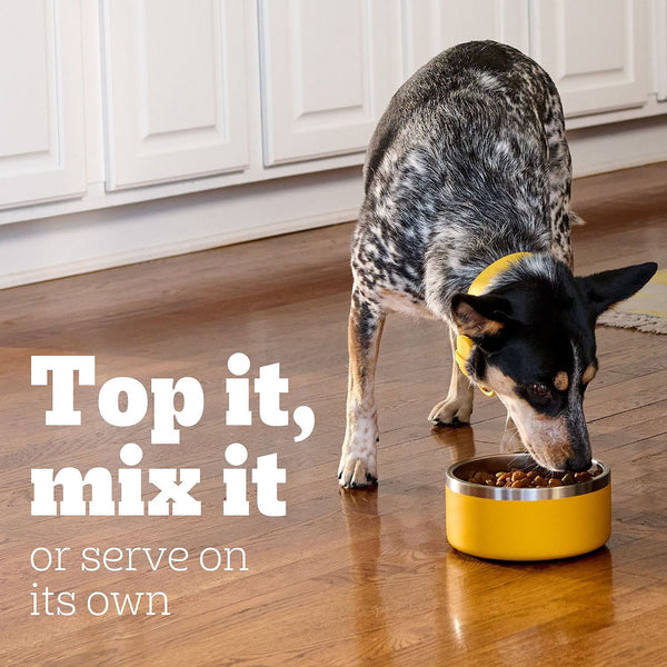 Pedigree Choice Cuts in Gravy Adult Wet Dog Food, Variety Pack, 3.5 oz., 54 ct.