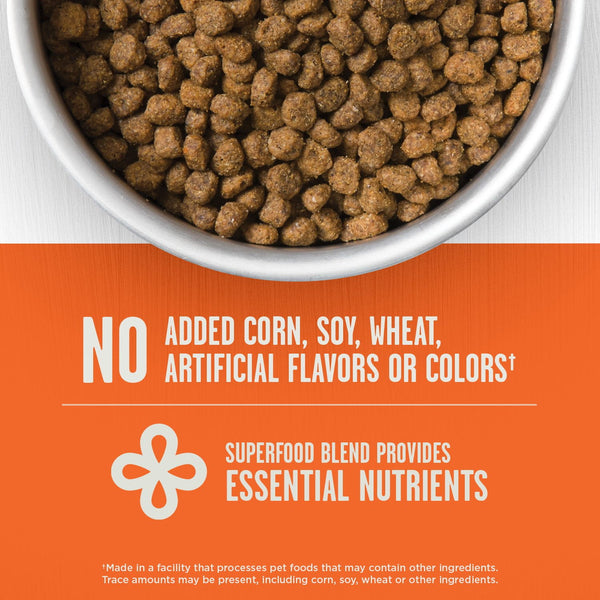 Member's Mark™ Prime Feast with Chicken + Salmon Dry Cat Food, 25 lbs.