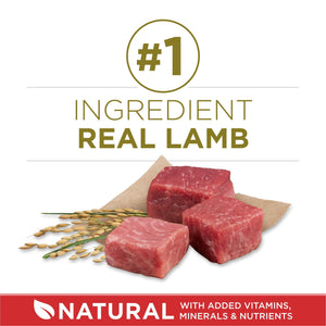 Purina ONE SmartBlend Natural Lamb and Rice, Adult Dry Dog Food, 44 lbs.