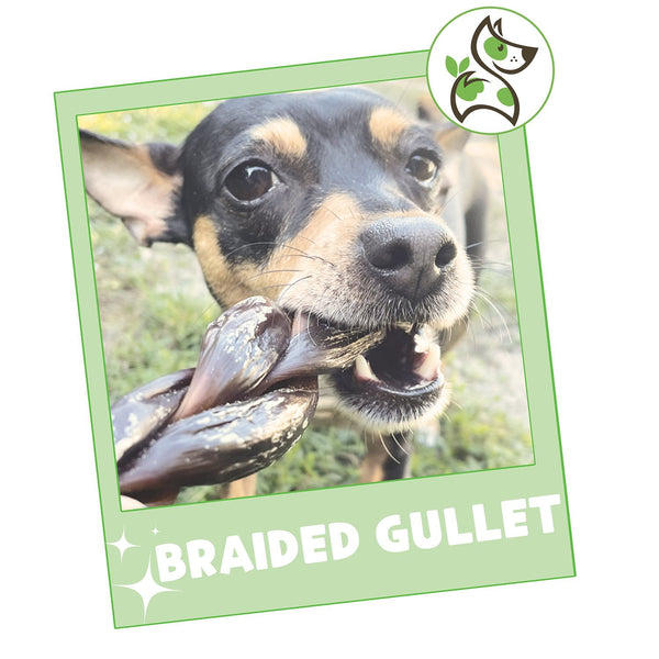 Nature Gnaws Beef Braid Dog Treat Chews, 1 lb.