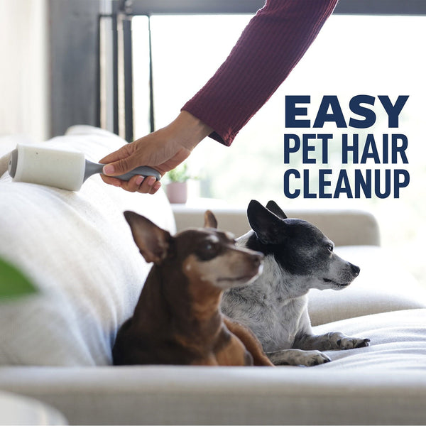 Scotch-Brite Lint Roller Club Pack, 4 Rollers/Pack, 85 Sheets/Roller