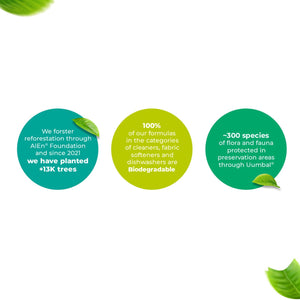 Pinalen 2X Concentrated Multipurpose Cleaner, Fresh Pine, 236 fl. oz.