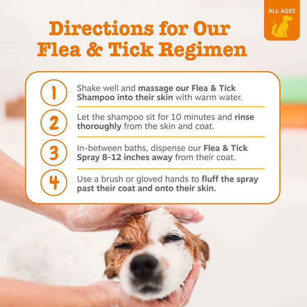 Zesty Paws Flea & Tick Shampoo for Dogs, to Repel, Control, and Prevent Fleas & Ticks, 32oz