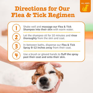 Zesty Paws Flea & Tick Kit for Dogs, to Repel, Control, and Prevent Fleas & Ticks, 8oz Shampoo, 8oz Spray, 160ct Bites