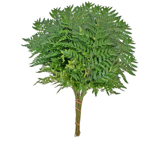 Member's Mark Leather Leaf 10 bunches