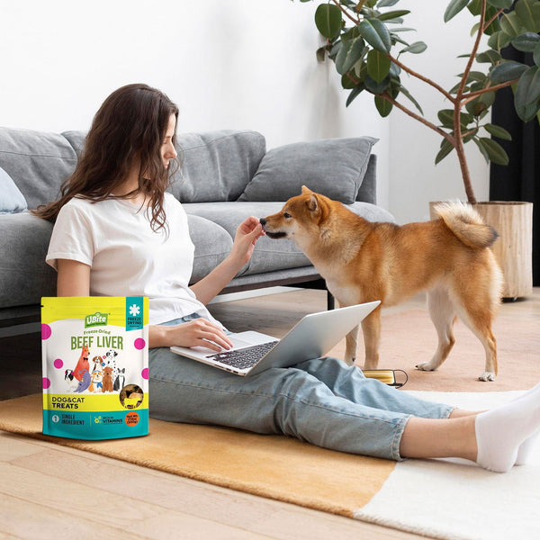 UBite Raw Bits Freeze-Dried Beef Liver Dog + Cat Treats, 17 oz.