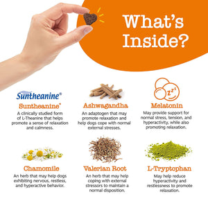 Zesty Paws Calming Plus Bites, Turkey, 160 ct.