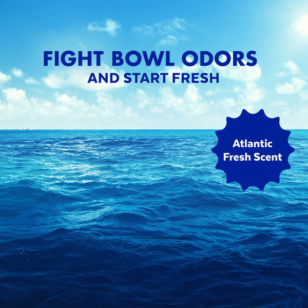 Lysol Advanced Toilet Bowl Gel Cleaner 32 fl. oz., 4 pk.