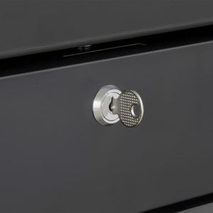 Maxx Cold X-Series Merchandiser Freezer with Glass Door, Black (48 cu. ft.)