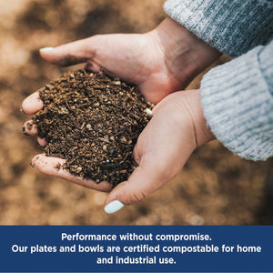 Member's Mark Ultra Dessert/Snack Paper Plates, 6.875