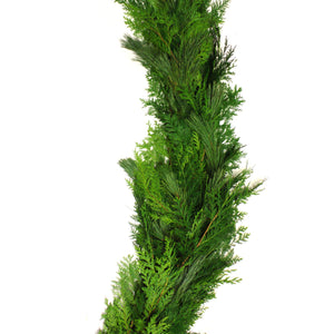 Member's Mark Fresh Garland, Mixed Pine and Cedar, 25 ft.