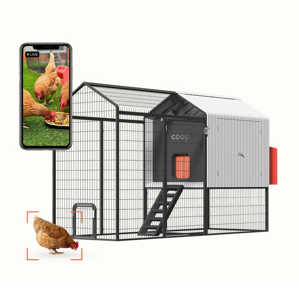 coop Smart Chicken Coop & Steel Run