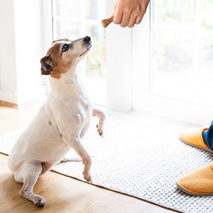 Arm & Hammer, Chicken Flavored Nubbies Dental Treats for Dogs, 139 ct.