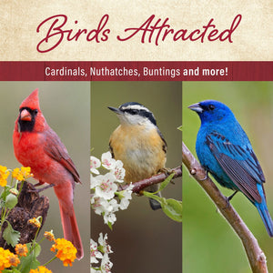 Member's Mark Ultra Premium Nut & Fruit Blend Birdseed, 20 lbs.