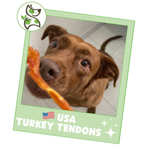 Nature Gnaws, USA Turkey Tendons Natural Dog Chews, 12 oz.