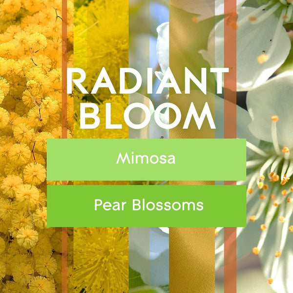 Glade PlugIns Scented Oil, Radiant Bloom, 2 Warmers + 6 Refills