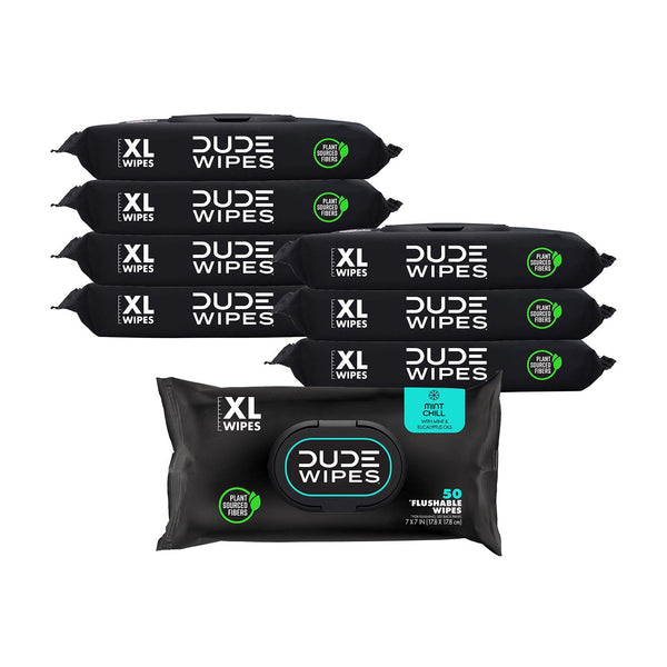 DUDE WIPES XL Flushable Wipes, Mint Chill, 8 ct., 400 wipes
