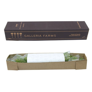 Member's Mark Golden Glory Solidago 140 stems