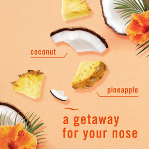 Febreze PLUG Scent Booster Oil Starter Kit, Hawaiian Aloha + Ocean, 1 Warmer + 3 Refills, 2.63 fl. oz.