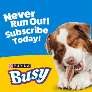 Purina Busy with Beggin’ Twist’d Adult Dog Chew Bone Treats - 18 ct. Pouch