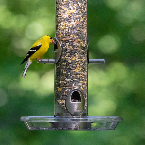 Audubon Park High Energy Blend Wild Bird Food, Premium Mix of Seeds and Nuts, 15 lbs.