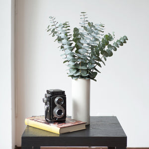 Member's Mark Baby Blue Eucalyptus 200 stems