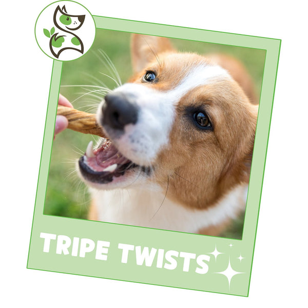 Nature Gnaws Beef Tripe Twists Dog Chews, 1 lb.