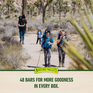 Nature Valley Chewy Trail Mix Fruit & Nut Granola Bars, 48 ct.