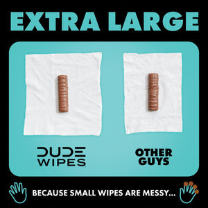 DUDE WIPES XL On-the-Go Flushable Wipes, Mint Chill, 4 ct., 120 wipes