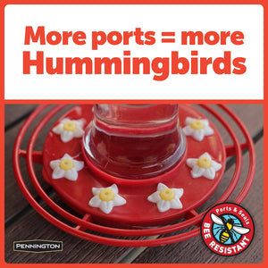 Pennington Hummingbird Feeder and Nectar Kit