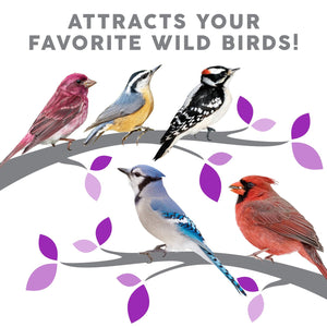 Harvest Seed & Supply Birder's Medley Wild Bird Food, Premium Mix of Bird Seed, 20 lbs.