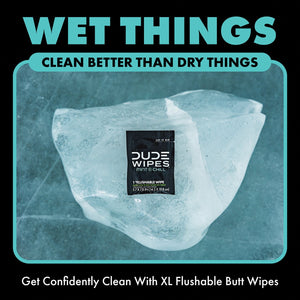 DUDE WIPES XL On-the-Go Flushable Wipes, Mint Chill, 4 ct., 120 wipes