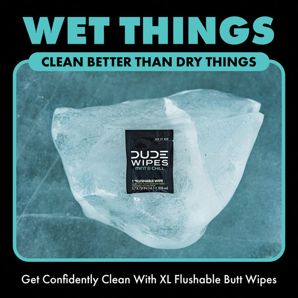 DUDE WIPES XL On-the-Go Flushable Wipes, Mint Chill, 4 ct., 120 wipes
