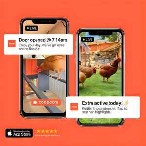 coop Smart Chicken Coop & Steel Run