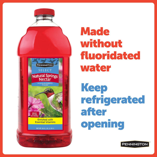 Pennington Hummingbird Feeder and Nectar Kit