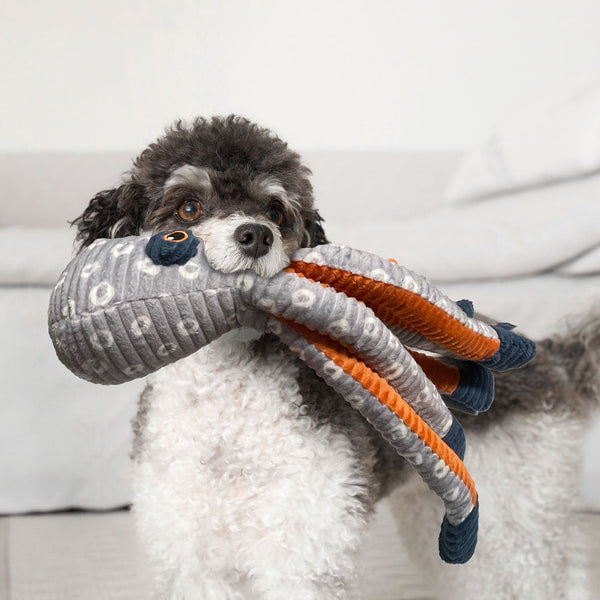 Buddy Buddy Octopus Long Rope Dog Toy
