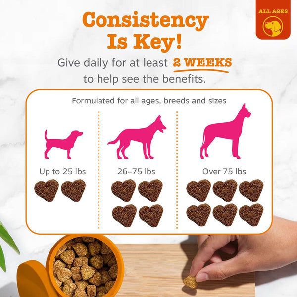 Zesty Paws Flea & Tick Kit for Dogs, to Repel, Control, and Prevent Fleas & Ticks, 8oz Shampoo, 8oz Spray, 160ct Bites