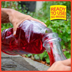 Pennington Hummingbird Feeder and Nectar Kit