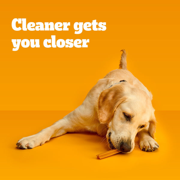 Pedigree DENTASTIX™, Variety Pack, Adult Large Breed Dental Treats, 65 ct.