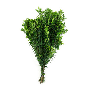 Member's Mark California Greens Sampler (10 bunches)