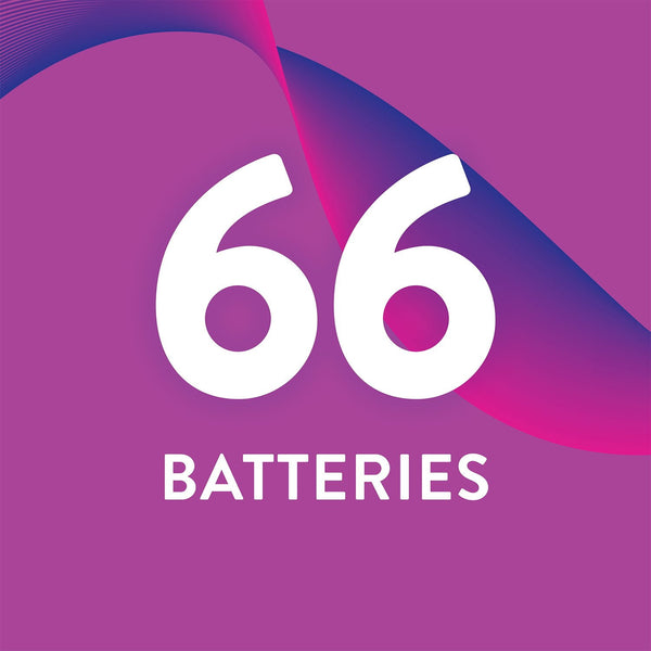 Member's Mark AAA Alkaline Batteries, 66-Pack