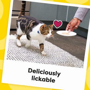 Temptations Lickable Puree Adult Variety Chicken, Salmon, and Tuna Cat Treats, 32 ct. 0.4 oz. Pouches