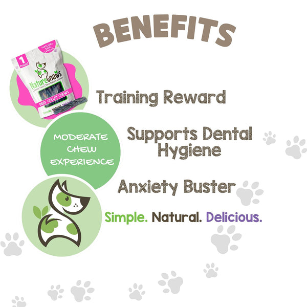 Nature Gnaws Beef Braid Dog Treat Chews, 1 lb.