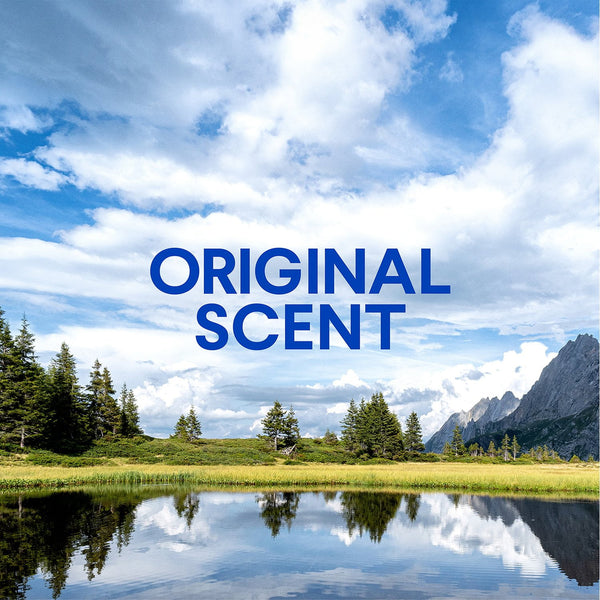 Clorox Clean-Up All-Purpose Cleaner + Bleach, Original Spray + Refill