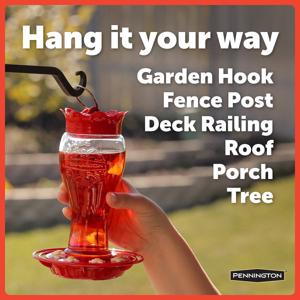 Pennington Hummingbird Feeder and Nectar Kit