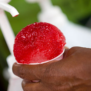 Gold Medal 1203 Shav-A-Doo Sno Cone Ice Machine