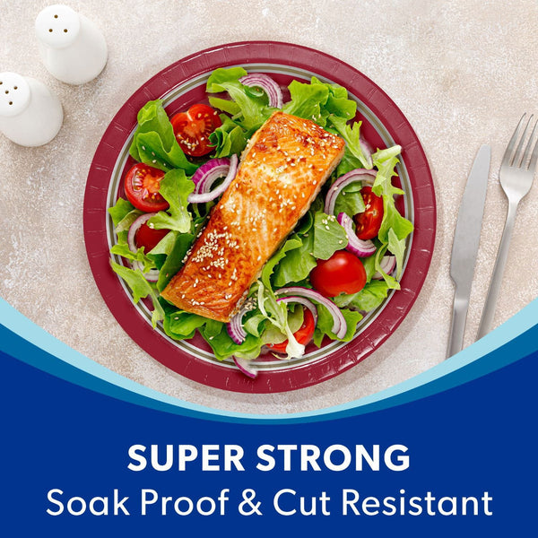 San Francisco 49ers NFL Round Paper Plates, 10