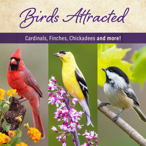 Member's Mark Supreme Blend Wild Bird Food 40 lbs.