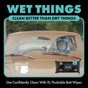 DUDE WIPES XL On-the-Go Flushable Wipes, Mint Chill, 4 ct., 120 wipes