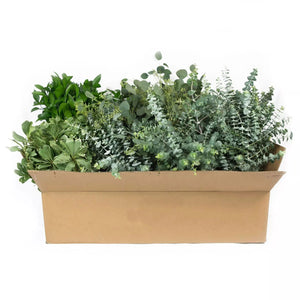 Member's Mark Assorted California Greens 20 bunches